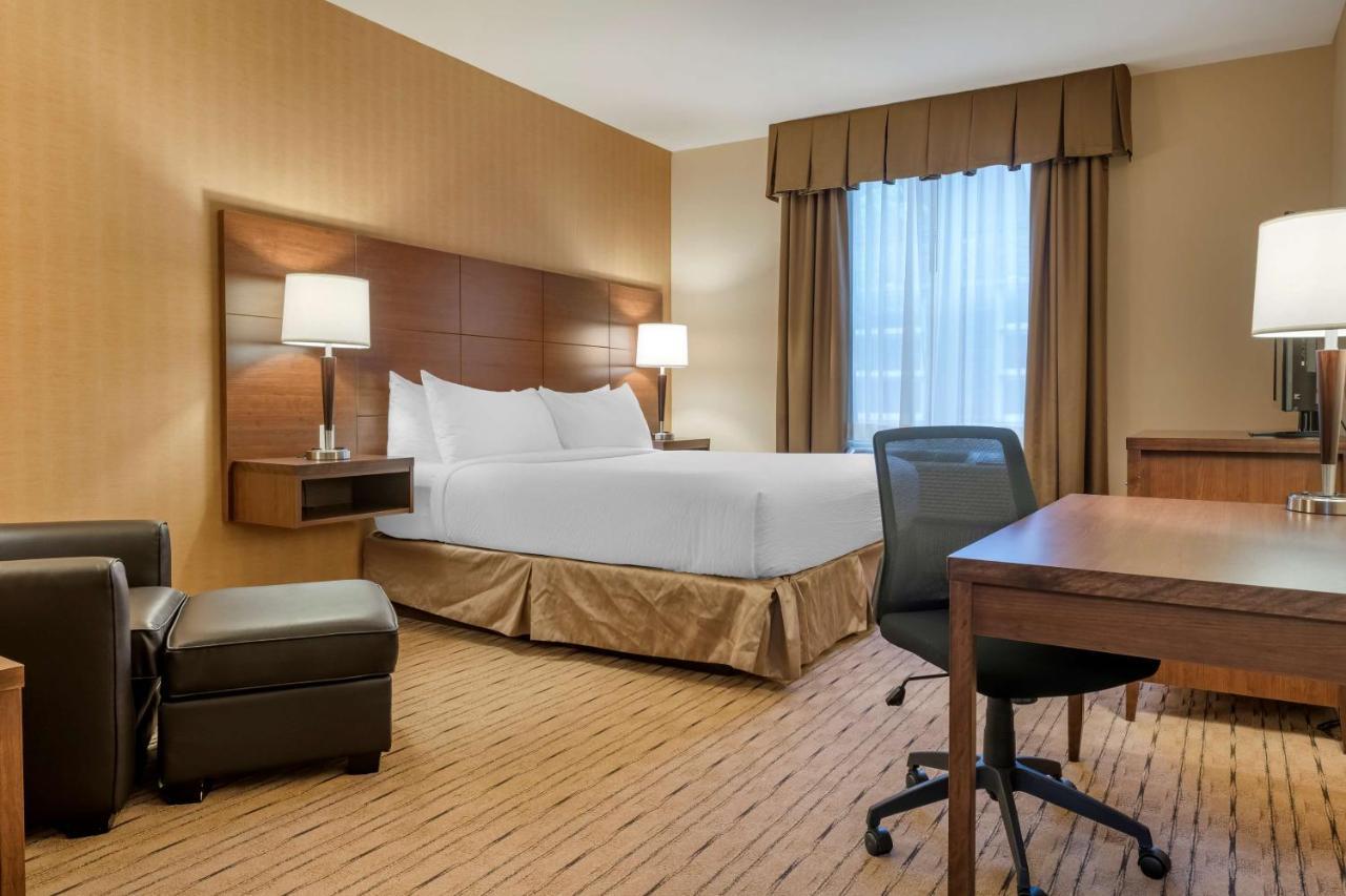 Best Western Plus, Bathurst Hotel & Suites Buitenkant foto